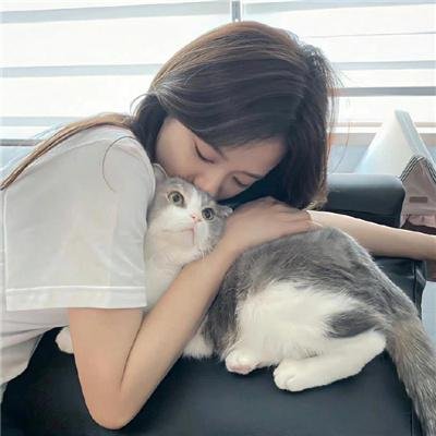南极料理人
