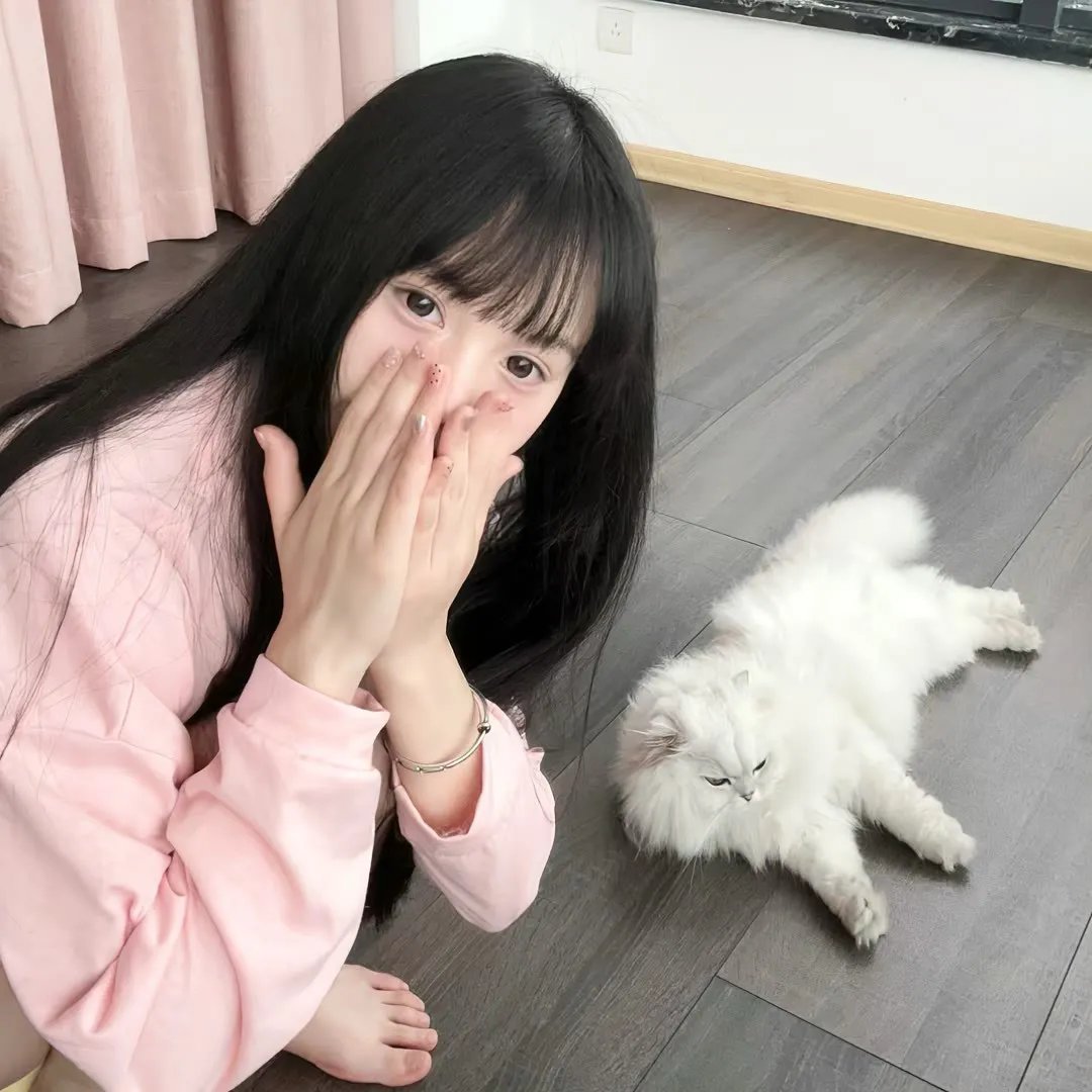积木之箱